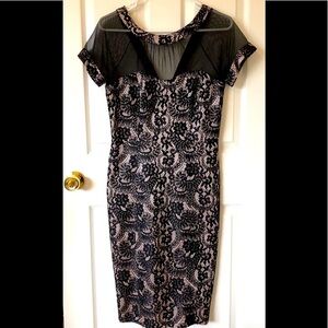 EnFocus Studio Lace dress GORGEOUS NWT 8